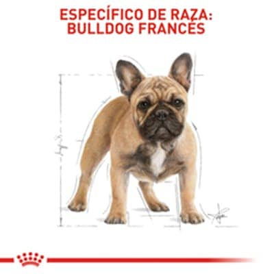 Royal canin french bulldog AD PERRO