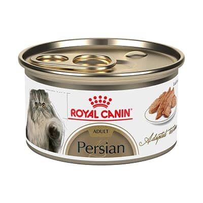 Royal cat lata AD persian